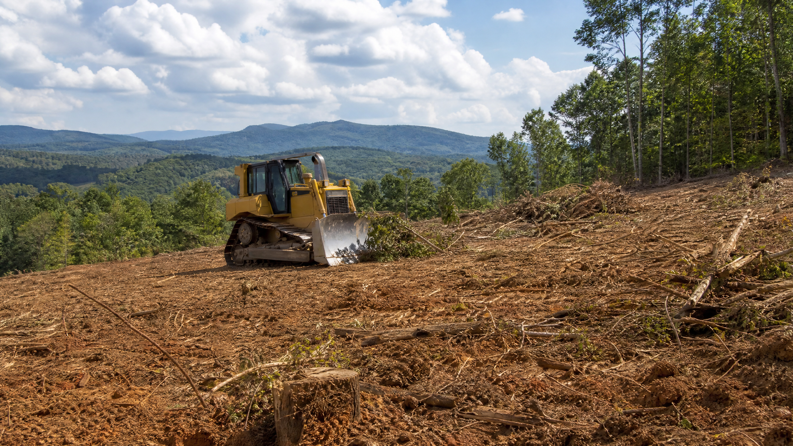 Land Clearing East Tennessee